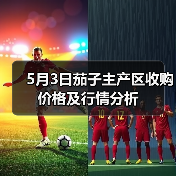 5月3日茄子主产区收购价格及行情分析(图2) 5月3日茄子主产区收购价格及行情分析(图2)