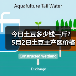 今日土豆多少钱一斤?5月2日土豆主产区价格行...(图1) 今日土豆多少钱一斤?5月2日土豆主产区价格行...(图1)