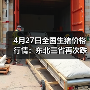4月27日全国生猪价格行情:东北三省再次跌破1...(图3) 4月27日全国生猪价格行情:东北三省再次跌破1...(图3)