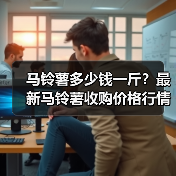 马铃薯多少钱一斤?最新马铃薯收购价格行情(图1) 马铃薯多少钱一斤?最新马铃薯收购价格行情(图1)