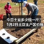 今日土豆多少钱一斤?5月2日土豆主产区价格行...(图2) 今日土豆多少钱一斤?5月2日土豆主产区价格行...(图2)