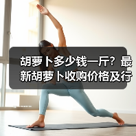 胡萝卜多少钱一斤?最新胡萝卜收购价格及行情(图2) 胡萝卜多少钱一斤?最新胡萝卜收购价格及行情(图2)