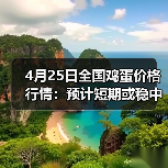 4月25日全国鸡蛋价格行情:预计短期或稳中小...(图2) 4月25日全国鸡蛋价格行情:预计短期或稳中小...(图2)