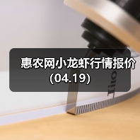 惠农网小龙虾行情报价(04.19)(图2) 惠农网小龙虾行情报价(04.19)(图2)