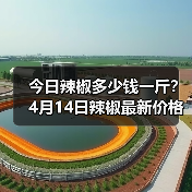 今日辣椒多少钱一斤?4月14日辣椒最新价格及...(图3) 今日辣椒多少钱一斤?4月14日辣椒最新价格及...(图3)