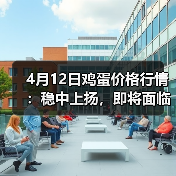 4月12日鸡蛋价格行情:稳中上扬,即将面临止...(图4) 4月12日鸡蛋价格行情:稳中上扬,即将面临止...(图4)