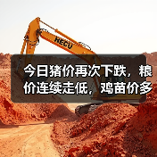 今日猪价再次下跌,粮价连续走低,鸡苗价多地...(图1) 今日猪价再次下跌,粮价连续走低,鸡苗价多地...(图1)