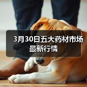 3月30日五大药材市场最新行情(图3) 3月30日五大药材市场最新行情(图3)