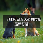3月30日五大药材市场最新行情(图4) 3月30日五大药材市场最新行情(图4)