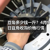 豆角多少钱一斤?4月9日豆角收购价格行情(图1) 豆角多少钱一斤?4月9日豆角收购价格行情(图1)