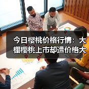 今日樱桃价格行情:大棚樱桃上市却遭价格大“...(图3) 今日樱桃价格行情:大棚樱桃上市却遭价格大“...(图3)