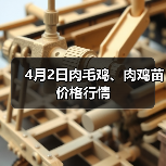4月2日肉毛鸡、肉鸡苗价格行情（图1）