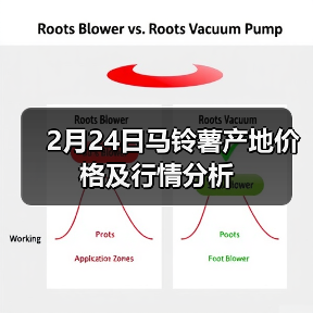 2月24日马铃薯产地价格及行情分析(图2) 2月24日马铃薯产地价格及行情分析(图2)