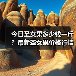 今日圣女果多少钱一斤?最新圣女果价格行情(图4) 今日圣女果多少钱一斤?最新圣女果价格行情(图4)