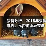 猪价分析:2018年猪价暴跌,是否将重复去年养...(图1) 猪价分析:2018年猪价暴跌,是否将重复去年养...(图1)