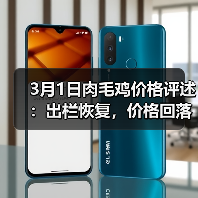 3月1日肉毛鸡价格评述:出栏恢复,价格回落(图4) 3月1日肉毛鸡价格评述:出栏恢复,价格回落(图4)