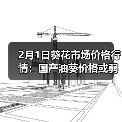 2月1日葵花市场价格行情：国产油葵价格或弱势...（图4）