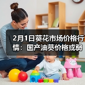 2月1日葵花市场价格行情：国产油葵价格或弱势...（图2）