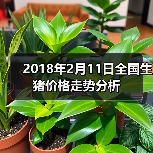 2018年2月11日全国生猪价格走势分析(图3) 2018年2月11日全国生猪价格走势分析(图3)
