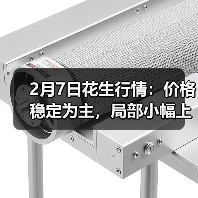 2月7日花生行情：价格稳定为主，局部小幅上调（图2）