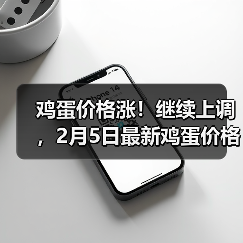 鸡蛋价格涨！继续上调，2月5日最新鸡蛋价格行...（图2）