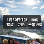 1月30日生猪、肉禽、鸡蛋、豆粕、玉米行情日...(图3) 1月30日生猪、肉禽、鸡蛋、豆粕、玉米行情日...(图3)