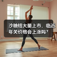 沙糖桔大量上市,临近年关价格会上涨吗?(图1) 沙糖桔大量上市,临近年关价格会上涨吗?(图1)