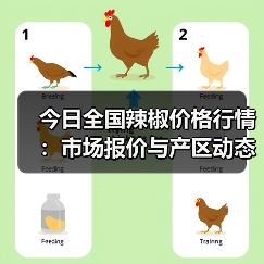 今日全国辣椒价格行情：市场报价与产区动态