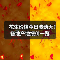 花生价格今日波动大？各地产地报价一览（图2）
