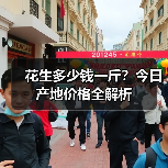 花生多少钱一斤？今日产地价格全解析（图1）