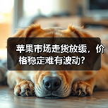 苹果市场走货放缓，价格稳定难有波动？（图2）