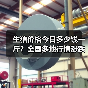 生猪价格今日多少钱一斤？全国多地行情涨跌分析（图2）