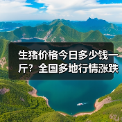 生猪价格今日多少钱一斤？全国多地行情涨跌分析（图3）