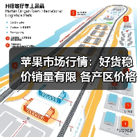 苹果市场行情：好货稳价销量有限 各产区价格分化明显（图2）