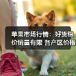 苹果市场行情：好货稳价销量有限 各产区价格分化明显（图4）