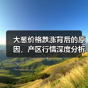 大葱价格跌涨背后的原因，产区行情深度分析