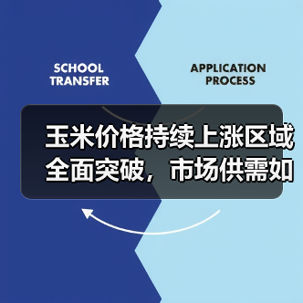 玉米价格持续上涨区域全面突破，市场供需如何变化？