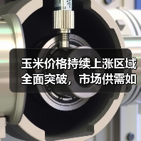 玉米价格持续上涨区域全面突破，市场供需如何变化？（图3）