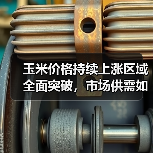 玉米价格持续上涨区域全面突破，市场供需如何变化？（图2）