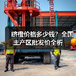 脐橙价格多少钱？全国主产区批发价全析（图3）