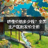脐橙价格多少钱？全国主产区批发价全析
