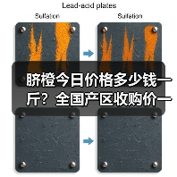 脐橙今日价格多少钱一斤？全国产区收购价一览（图2）