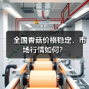 全国香菇价格稳定，市场行情如何？