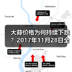 大蒜价格为何持续下跌？2017年11月28日全国行情解析