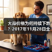 大蒜价格为何持续下跌？2017年11月28日全国行情解析（图4）