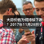 大蒜价格为何持续下跌？2017年11月28日全国行情解析（图2）