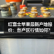 红富士苹果最新产地报价：各产区行情如何？（图3）