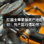 红富士苹果最新产地报价：各产区行情如何？（图4）