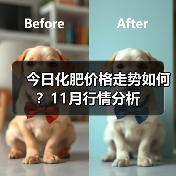 今日化肥价格走势如何?11月行情分析(图1) 今日化肥价格走势如何?11月行情分析(图1)