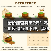 猪价能否突破7元?鸡价反弹苗价下跌,蛋价持续上涨,豆粕玉米行情如何?(图4) 猪价能否突破7元?鸡价反弹苗价下跌,蛋价持续上涨,豆粕玉米行情如何?(图4)